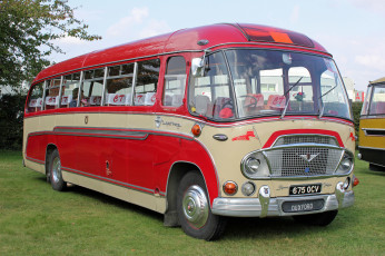 Картинка автомобили автобусы транспорт пассажирский