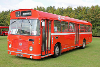 Картинка автомобили автобусы транспорт пассажирский