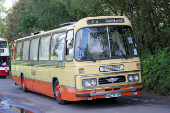 Картинка автомобили автобусы транспорт пассажирский