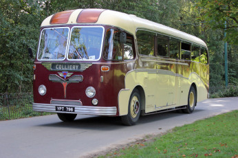 Картинка автомобили автобусы транспорт пассажирский