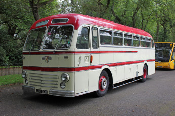 Картинка автомобили автобусы транспорт пассажирский