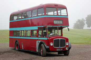 Картинка автомобили автобусы транспорт пассажирский