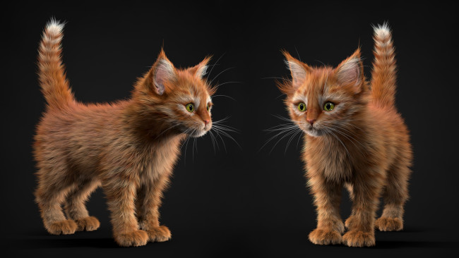 Обои картинки фото 3д графика, животные , animals, фон, взгляд, кошки