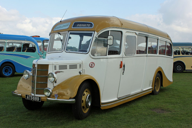 Обои картинки фото автомобили, автобусы, транспорт, пассажирский