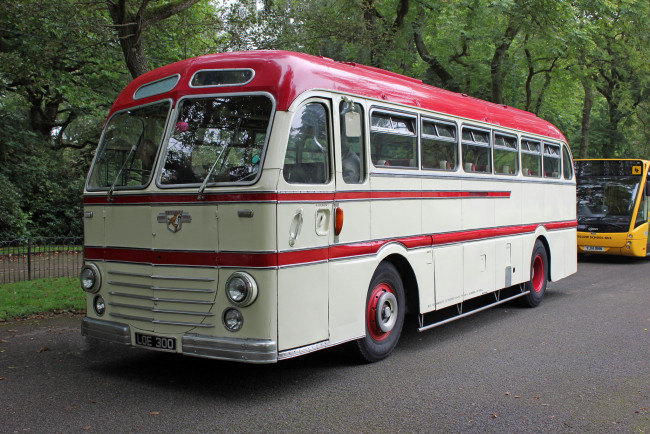 Обои картинки фото автомобили, автобусы, транспорт, пассажирский