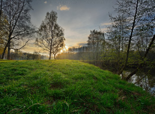 Картинка природа реки озера река лес