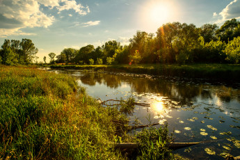 Картинка природа реки озера река лес