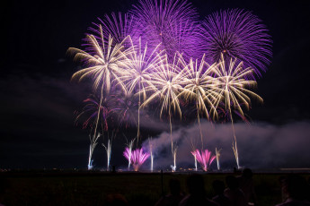 Картинка разное салюты +фейерверки ночь фейерверк