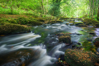 Картинка природа реки озера лес река