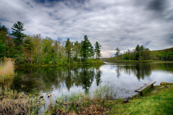 Картинка природа реки озера река лес