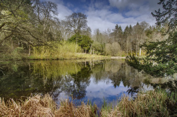 Картинка природа реки озера лес река