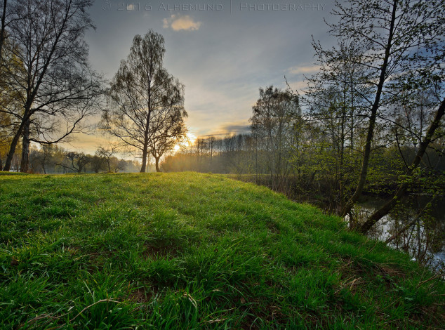 Обои картинки фото природа, реки, озера, река, лес