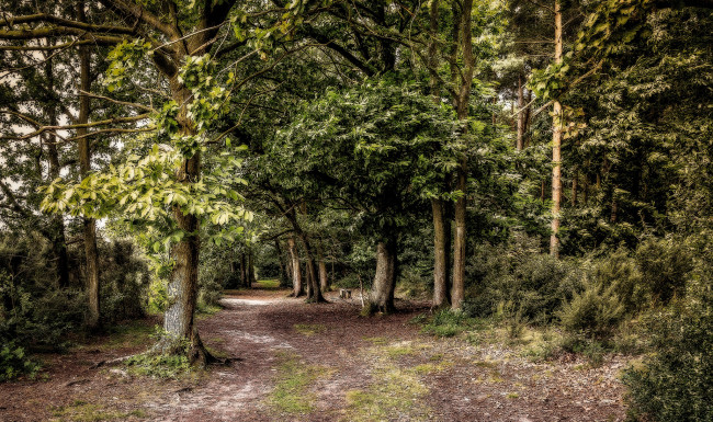 Обои картинки фото природа, дороги, тракт