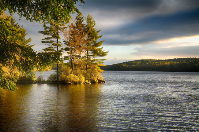 Обои картинки фото природа, реки, озера, река, лес