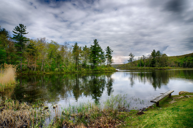 Обои картинки фото природа, реки, озера, река, лес