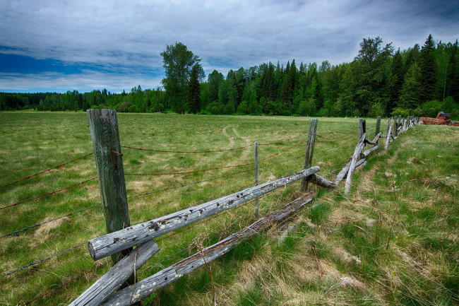 Обои картинки фото природа, пейзажи, изгородь, поле