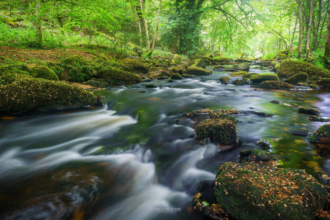 Обои картинки фото природа, реки, озера, лес, река