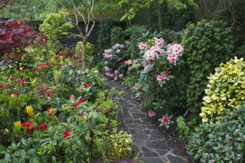 Картинка природа парк доржка