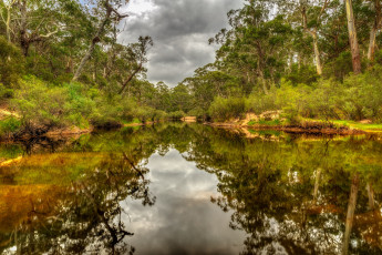 Картинка природа реки озера лес река