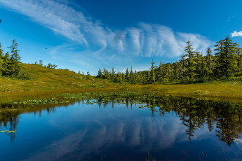 Картинка природа реки озера река лес