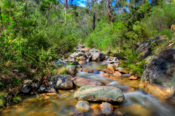 Картинка природа реки озера река лес