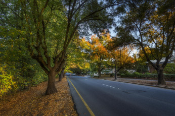 Картинка природа дороги шоссе