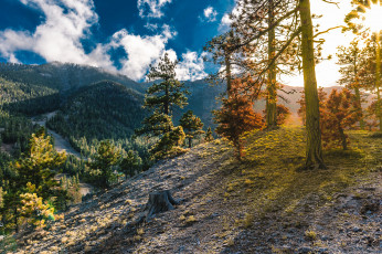 Картинка природа горы простор