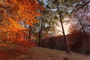 Картинка природа пейзажи осень