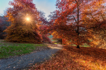 Картинка природа пейзажи осень