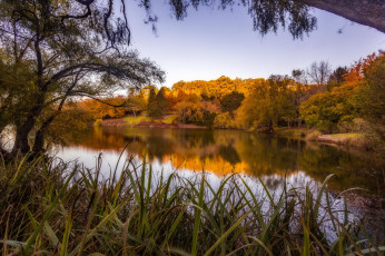 Картинка природа реки озера лес река