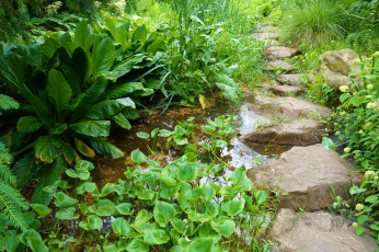 Картинка природа реки озера ручей