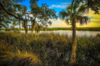 Картинка природа тропики курорт