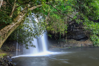 Картинка природа водопады лес река водопад
