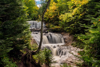Картинка природа водопады водопад река лес