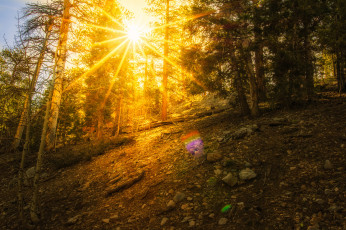 Картинка природа восходы закаты рассвет