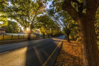 Картинка природа дороги шоссе