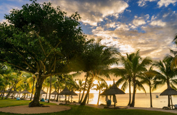 Картинка природа тропики курорт