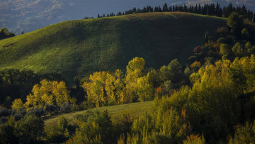 Картинка природа пейзажи холм деревья