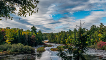 Картинка природа реки озера лес река