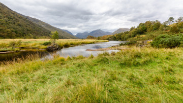 Картинка природа реки озера река лес