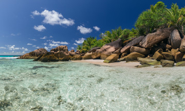 Картинка природа тропики курорт