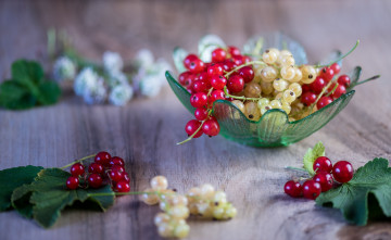 Картинка еда смородина ягода веточка листик