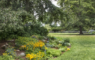 Картинка природа парк забор деревья цветы трава