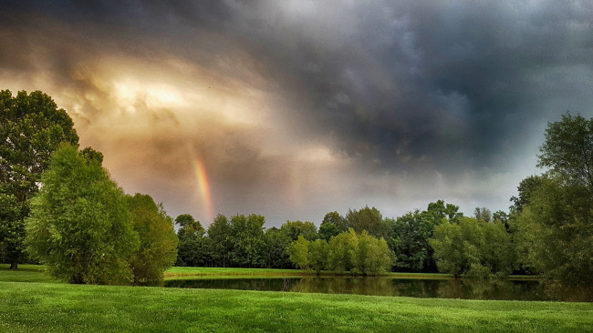 Обои картинки фото природа, реки, озера, лес, река