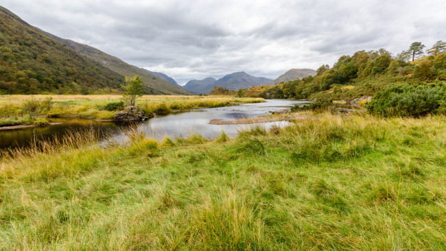 Обои картинки фото природа, реки, озера, река, лес