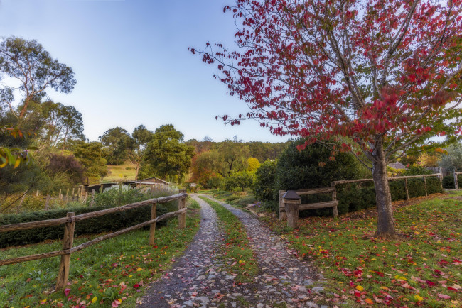 Обои картинки фото природа, дороги, тропа