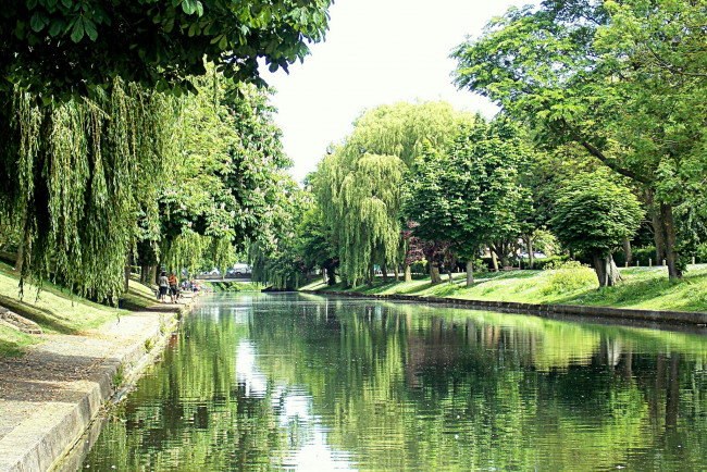 Обои картинки фото природа, парк, водоем, трава, деревья