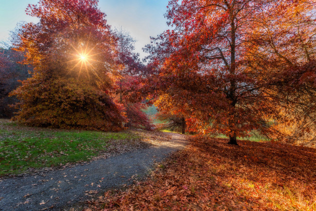 Обои картинки фото природа, пейзажи, осень