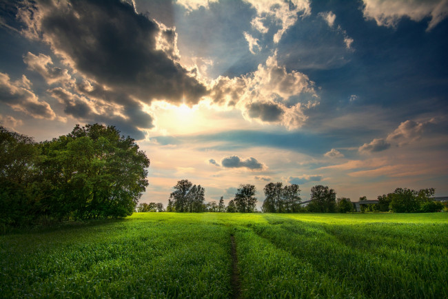 Обои картинки фото природа, поля, простор