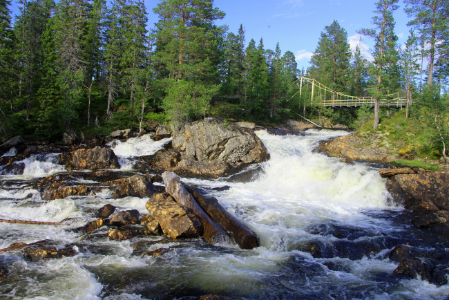 Обои картинки фото природа, реки, озера, лес, река